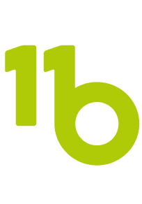 IB the data company
